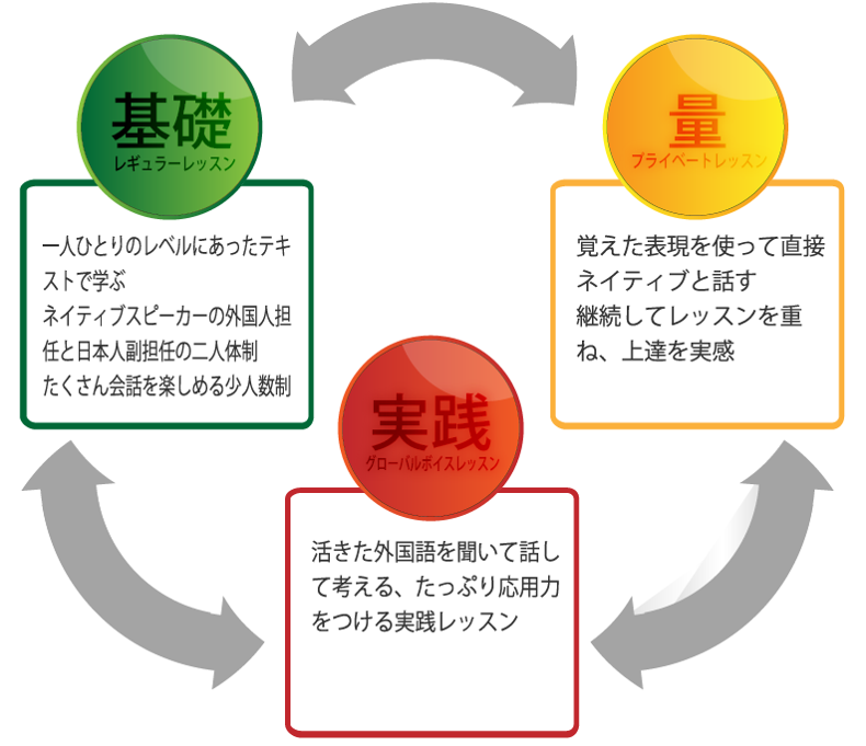 study cycle